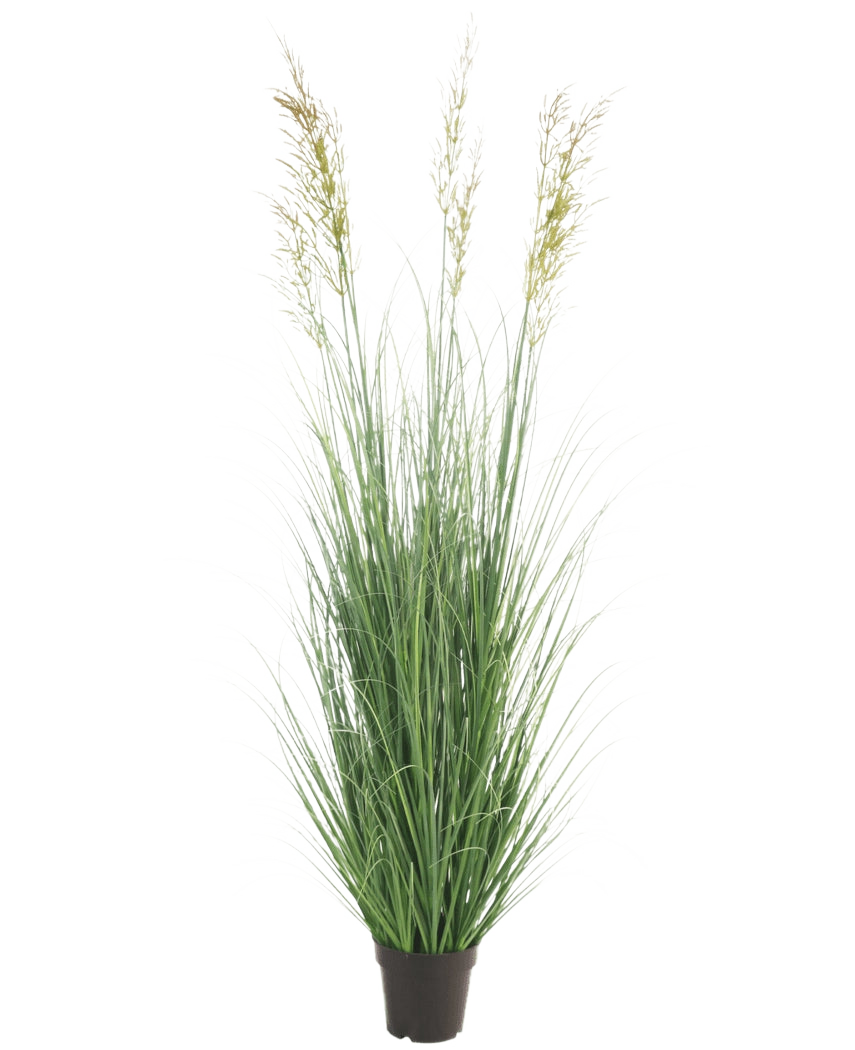 Konstgräsväxtvete 180 cm brandskyddsmedel har långa, smala gröna blad och tre spikformade fröhuvuden i en liten svart kruka - perfekt för en lyxig trädgård, helt underhållsfri och brandhämmande. Visas mot en vanlig vit bakgrund.