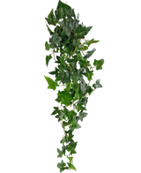 Den konstgjorda hängande växten Ivy Boston 100 cm grön har frodiga gröna spetsiga blad på långa, tunna stjälkar, vilket skapar en realistisk eftersläpande murgrönaeffekt mot en vanlig vit bakgrund.