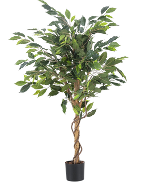 Den konstgjorda växten Ficus Green 120 cm har gröna blad och en vriden stjälk, i en liten svart kruka mot en vanlig vit bakgrund.