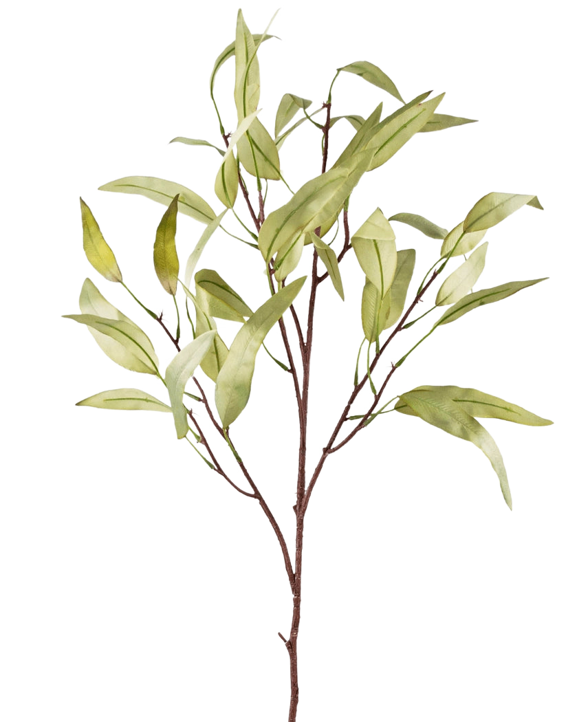 Den konstgjorda grenen Eucalyptus Niphophila 108 cm grön har en enda brun stam med flera tunna grenar, var och en dekorerad med avlånga, ljusgröna blad, mot en vanlig vit bakgrund.