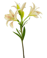 En enda konstgjord blomma asiatisk lilja 66 cm rosa med tre blommande rosa liljor och gröna blad, isolerad på en vit bakgrund.