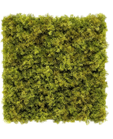 Artificiell Hedge Nordic Moss 50x50 cm UV är en fyrkantig panel tätt täckt med frodig grön mossa på en vit bakgrund, vilket skapar en strukturerad, naturlig look som är perfekt för eleganta interiörer.