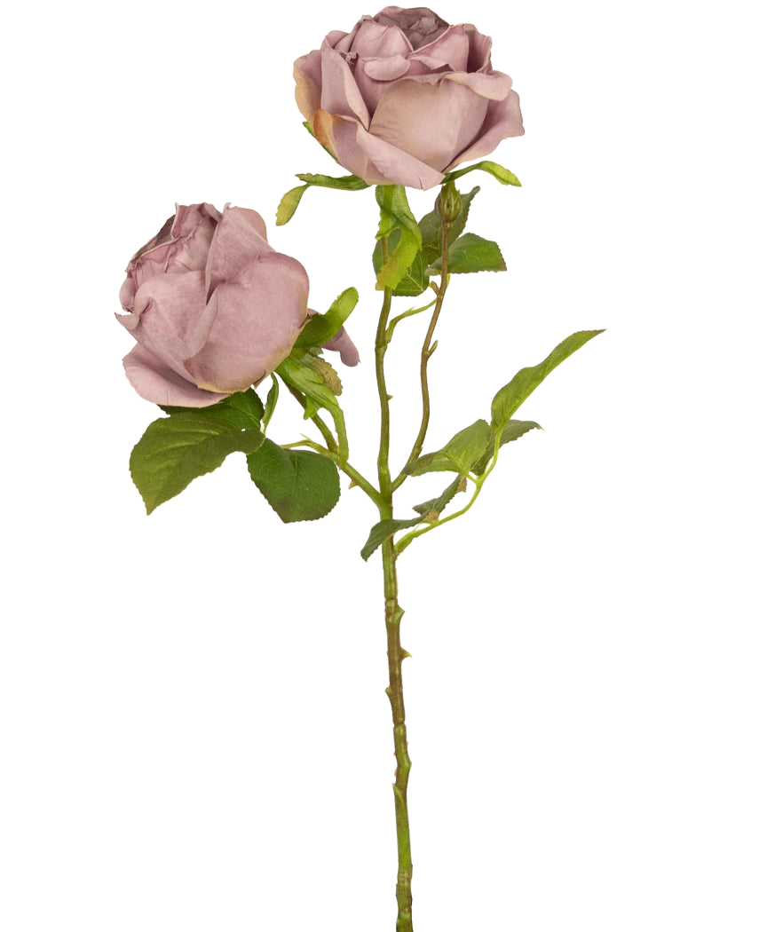 En enkel Artificiell Rose Deluxe 55 cm lila stjälk med två dammiga lila rosor och gröna blad, mot en vanlig vit bakgrund.