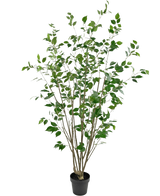 Den konstgjorda växten Ficus 180 cm är ett högt konstgjort träd i kruka med flera smala bruna stammar och täta gröna blad mot en vanlig vit bakgrund.