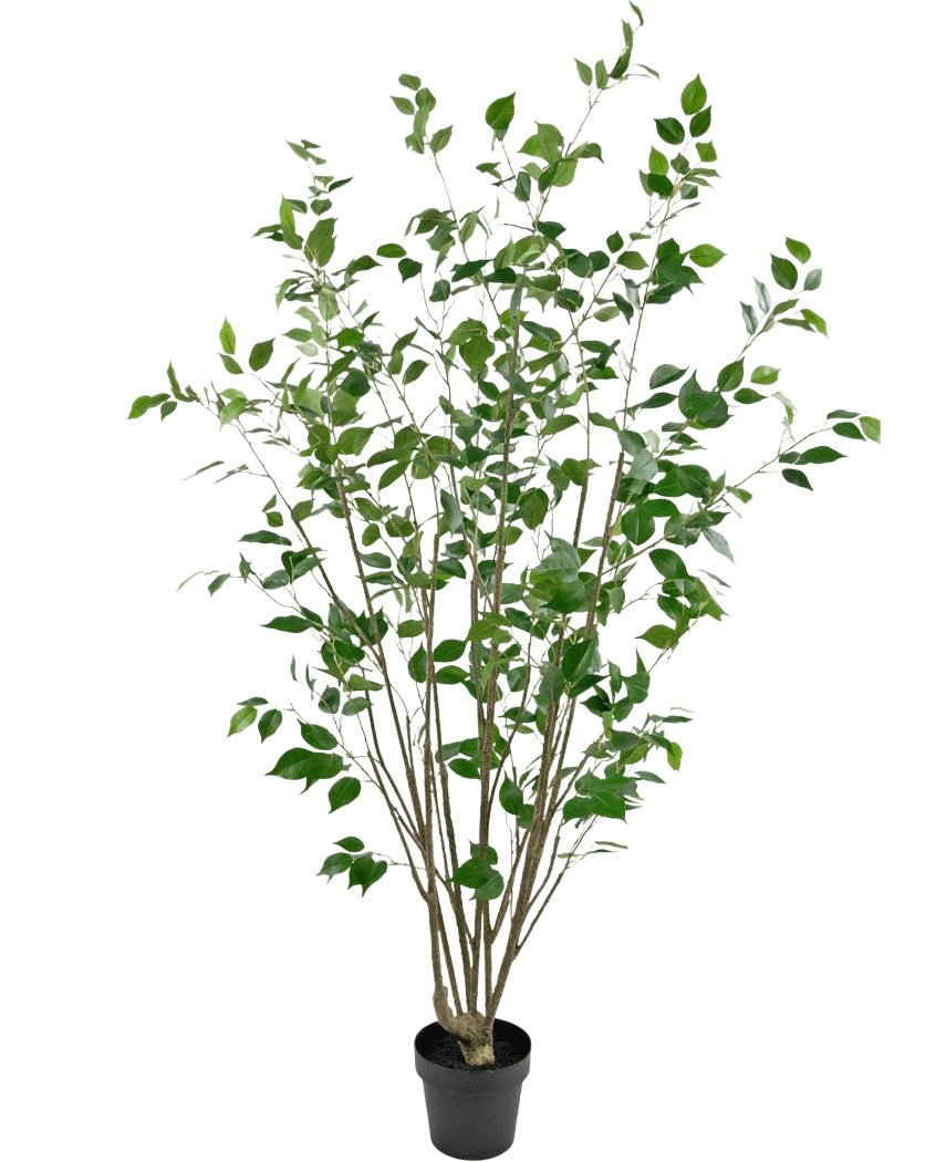 Den konstgjorda växten Ficus 180 cm är ett högt konstgjort träd i kruka med flera smala bruna stammar och täta gröna blad mot en vanlig vit bakgrund.