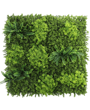 Artificiell Hedge Moss 100x100 cm UV-panel har tätt, varierat grönt bladverk och flera klungor av ormbunksliknande löv på en vit bakgrund.
