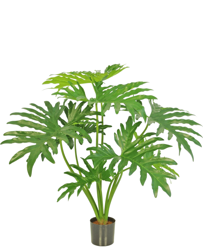 Den konstgjorda växten Philodendron 80 cm är en konstgjord växt med stora, delade gröna blad i en liten svart kruka, avbildad mot en vanlig vit bakgrund.