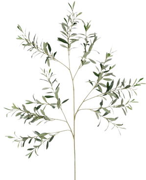 Den konstgjorda olivgrenen 109 cm har flera smala stjälkar med små, långsträckta gröna blad mot en vanlig vit bakgrund.