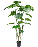 Den konstgjorda växten Monstera 210 cm är en hög krukväxt med flera långa stjälkar och stora, glänsande, kluvna gröna blad som liknar en riktig monstera. Visas här mot en vanlig vit bakgrund.