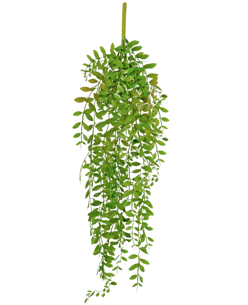 Den konstgjorda hängande växten Pumila 89 cm har små, ovala gröna blad på flera hängande stjälkar, mot en vanlig vit bakgrund.