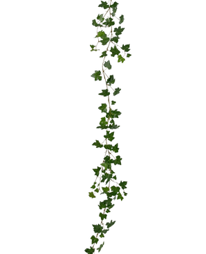 Den konstgjorda hängande växten Ivy girlander deluxe 180 cm grön är en lång, grön murgröngirlang med spetsiga blad som hänger vertikalt mot en vanlig vit bakgrund.