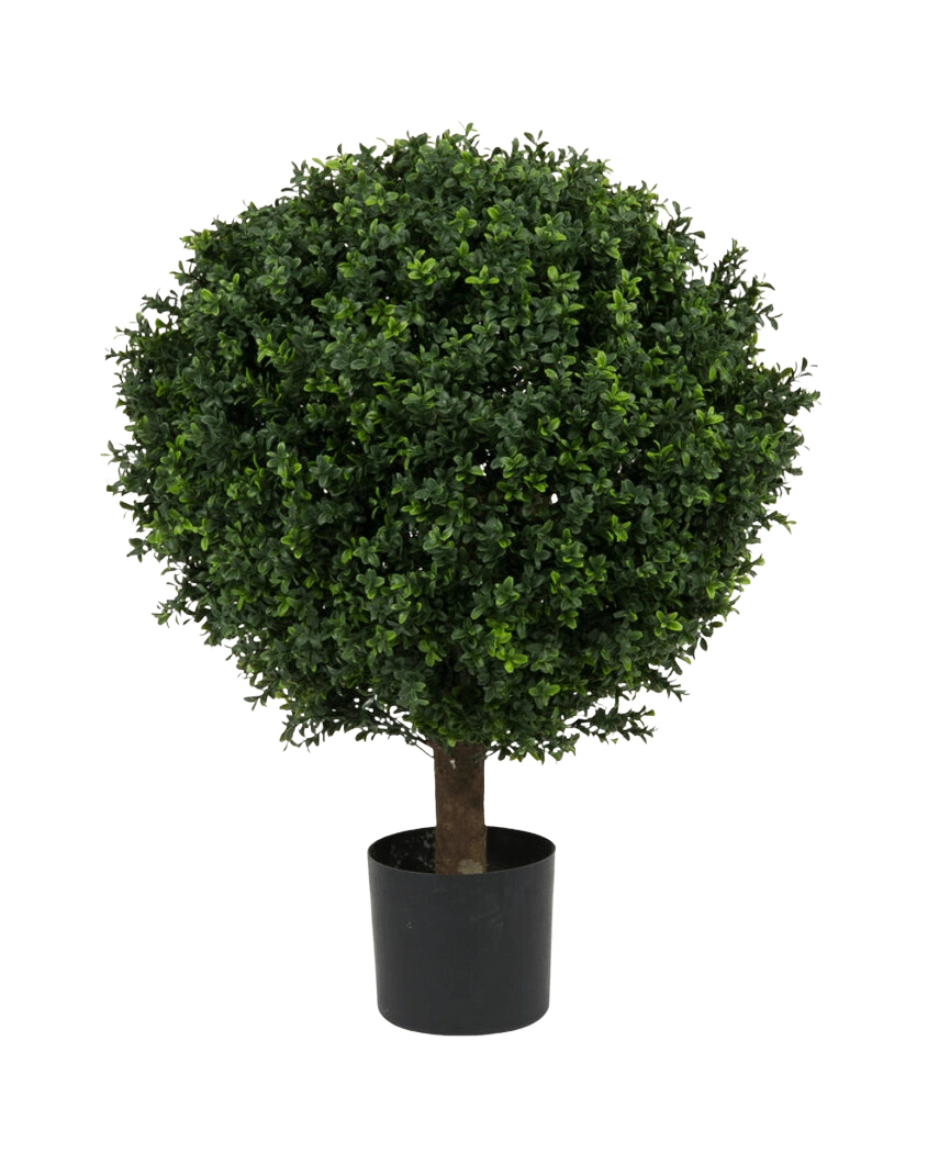 Artificiell buxbom på stjälk romersk stil UV 85cm är ett runt, lummigt grönt konstgjort träd med tätt blad och en enda stam, i en enkel svart kruka mot en vanlig vit bakgrund.