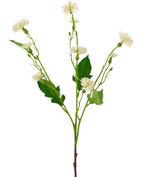 Artificiell blomma Daisy Spray 54 cm vit ray har en enda grön stjälk med grenade klasar av små, vita tusensköna-liknande blommor och oregelbundna gröna blad, mot en vanlig vit bakgrund.