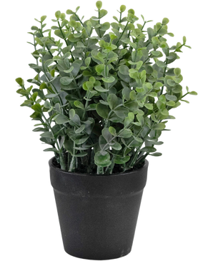 Den konstgjorda växten Pumila 23 cm är en liten grön krukväxt med runda blad i en enkel svart kruka, avbildad mot en vit bakgrund.