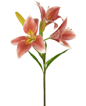 På en stjälk av den 66 cm gammal rosa artificiella blomman finns det flera blommande rosa liljor med gröna blad mot en vanlig vit bakgrund.