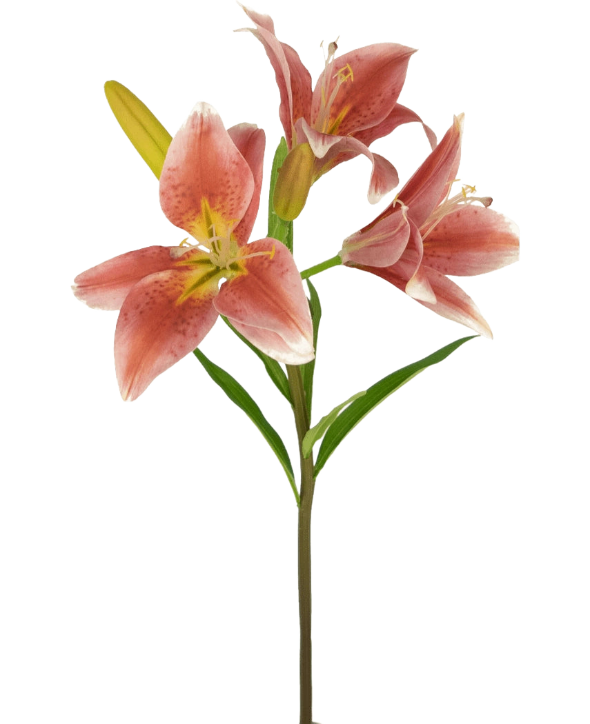 På en stjälk av den 66 cm gammal rosa artificiella blomman finns det flera blommande rosa liljor med gröna blad mot en vanlig vit bakgrund.