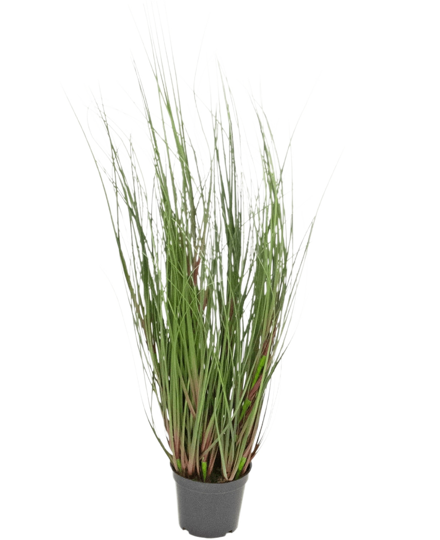 Konstgräsplantan Lök 60 cm brandskyddsmedel är ett prydnadsgräs i kruka med långa, tunna gröna blad och några rödaktiga stjälkar, mot en vanlig vit bakgrund.