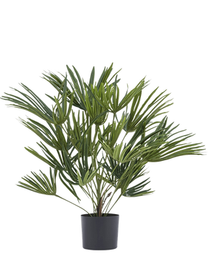 Artificiell växt Baby Palm Fan i kruka UV 50 cm har långa, smala gröna blad i en snygg kruka - perfekt för att sätta en elegant touch till din inredning eller att kombinera med dekorativa krukor för extra känsla.