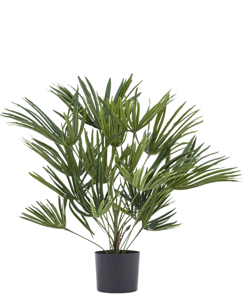 Artificiell växt Baby Palm Fan i kruka UV 50 cm har långa, smala gröna blad i en snygg kruka - perfekt för att sätta en elegant touch till din inredning eller att kombinera med dekorativa krukor för extra känsla.