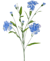Konstblommans nejlikaklas 70 cm blå har en delikat stjälk med flera ljusblå nejlikablommor och gröna blad, mot en vanlig vit bakgrund.