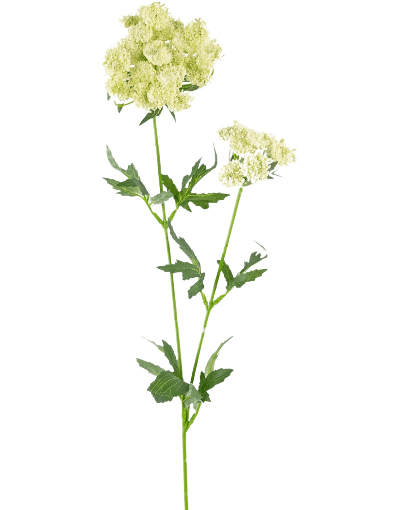 Artificiell blomma spetsblomma 76 cm vit är en enda konstgjord stjälk med klasar av små, ljusgrön-vita blommor och tandade, djupt flikiga gröna blad, mot en vanlig vit bakgrund.