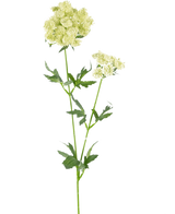 Artificiell blomma spetsblomma 76 cm vit är en enda konstgjord stjälk med klasar av små, ljusgrön-vita blommor och tandade, djupt flikiga gröna blad, mot en vanlig vit bakgrund.