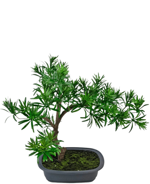 Den konstgjorda växten Bonsai Podocarpus 40 cm har tätt grönt bladverk i en grund rektangulär grå kruka med mossa, perfekt för att lägga till en naturlig stil till alla utrymmen.