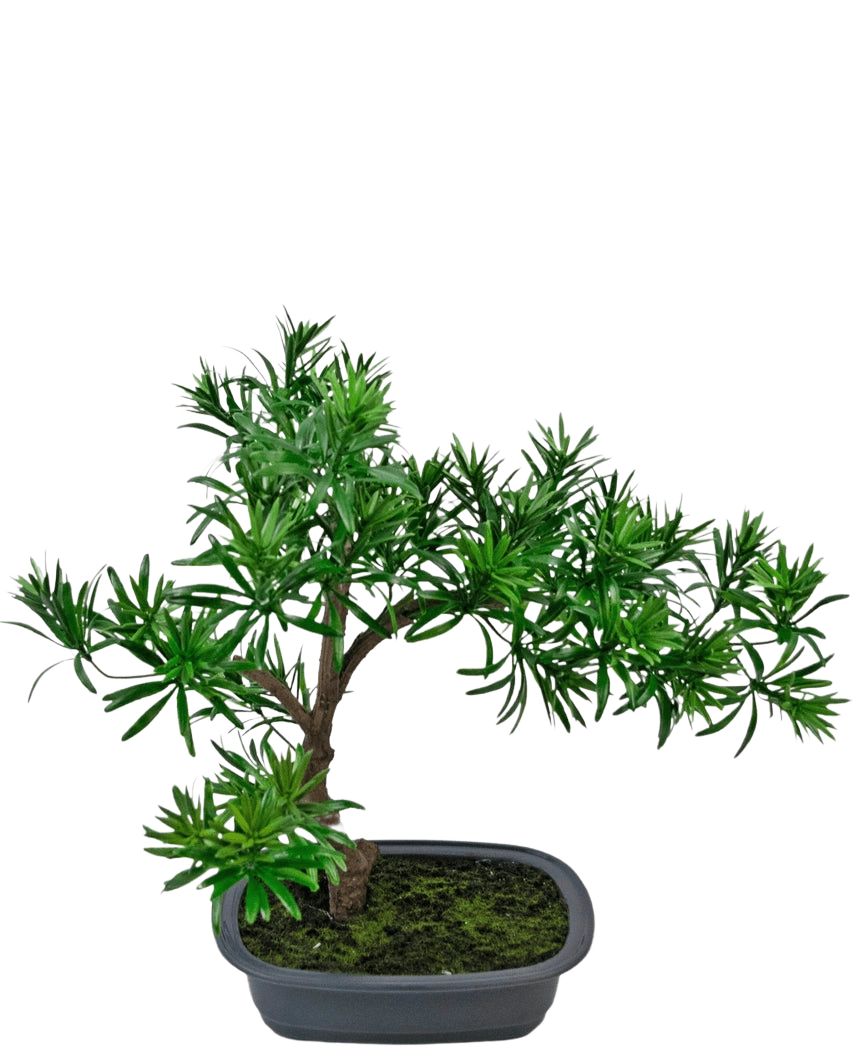 Den konstgjorda växten Bonsai Podocarpus 40 cm har tätt grönt bladverk i en grund rektangulär grå kruka med mossa, perfekt för att lägga till en naturlig stil till alla utrymmen.