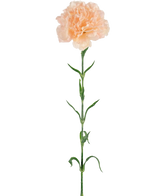 Konstgjord blomma Nejlika 69 cm persika