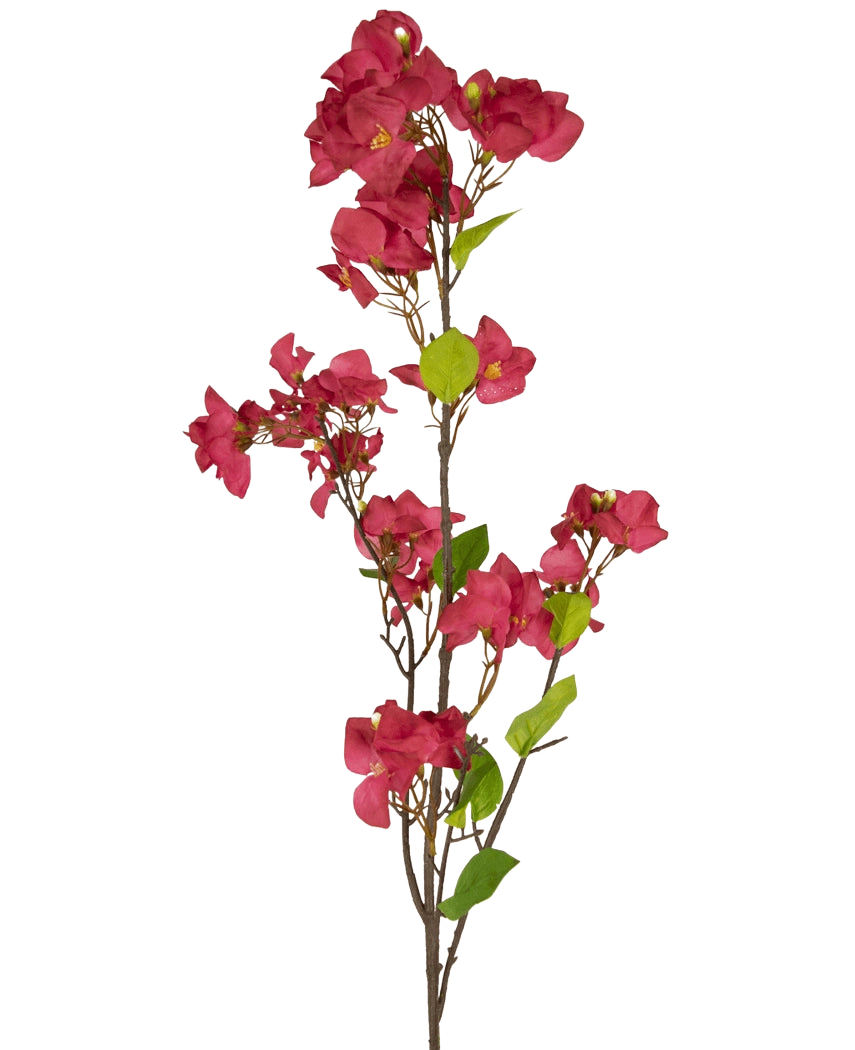 Den konstgjorda blomman Bougainvillea 120 cm vinröd har en enda stjälk med flera djupa vinröda konstgjorda blommor och gröna blad på smala bruna grenar, mot en vanlig vit bakgrund.
