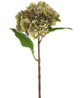 Artificiell Hydrangea Deluxe 55 cm grön/lila har en enda artificiell hortensiastam med gröna och lila kronblad och två gröna blad på en vanlig vit bakgrund.