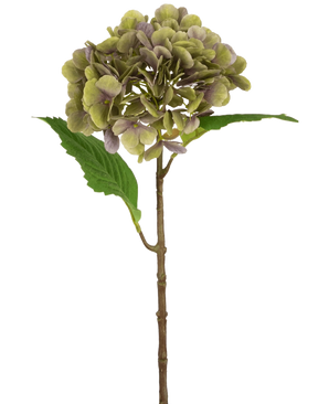 Artificiell Hydrangea Deluxe 55 cm grön/lila har en enda artificiell hortensiastam med gröna och lila kronblad och två gröna blad på en vanlig vit bakgrund.