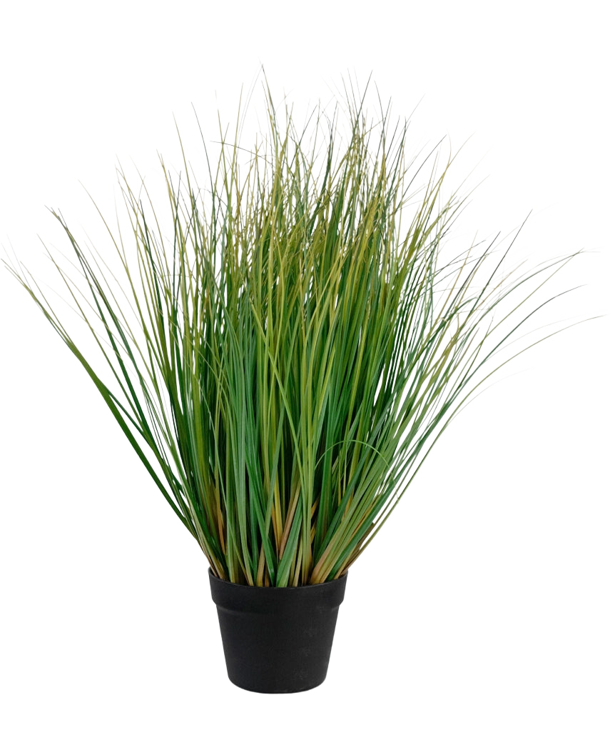 Konstgräslökgräsbonsai med kruka är en 70 cm hög, brandhämmande konstgräsplanta med långa gröna blad i en svart kruka, mot en vanlig vit bakgrund.