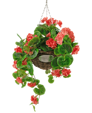 Artificiell Begonia Pink in Basket UV 70cm är en hängande flätad korg med frodiga gröna blad och livfulla korallrosa begoniablommor, upphängd i en silverkedja mot en vit bakgrund.