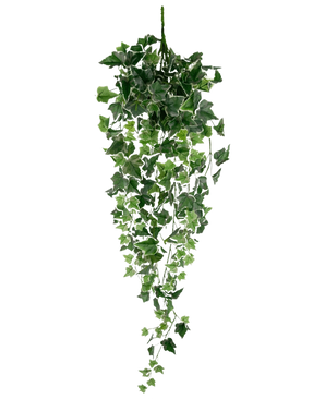 Artificiell murgröna 70 cm grön/vit är en hängande konstgjord murgrönaväxt med frodiga gröna och vita fallande blad på långa stjälkar, mot en vanlig vit bakgrund.