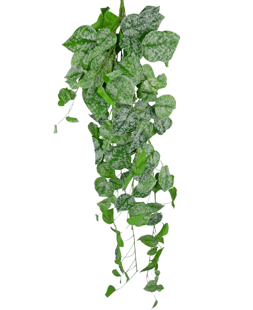 Den konstgjorda hängväxten Scindapsus 90 cm är en hängande klätterväxt med hjärtformade gröna blad dekorerade med silvervita prickar, som faller ner mot en vanlig vit bakgrund.
