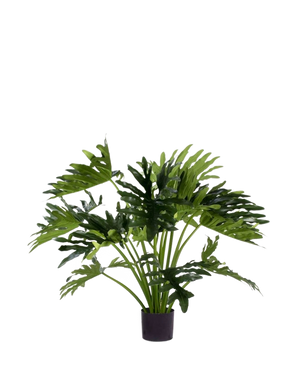 Den konstgjorda växten Philodendron UV 90 cm har stora, djupt flikiga gröna blad i en kruka, perfekt som en krukväxt med lite underhåll för att lägga till grönska inomhus. Mot en vit bakgrund ger det en naturlig stil utan underhåll.