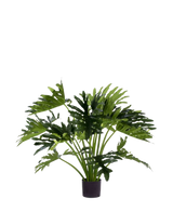 Den konstgjorda växten Philodendron UV 90 cm har stora, djupt flikiga gröna blad i en kruka, perfekt som en krukväxt med lite underhåll för att lägga till grönska inomhus. Mot en vit bakgrund ger det en naturlig stil utan underhåll.