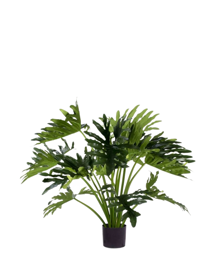 Den konstgjorda växten Philodendron UV 90 cm har stora, djupt flikiga gröna blad i en kruka, perfekt som en krukväxt med lite underhåll för att lägga till grönska inomhus. Mot en vit bakgrund ger det en naturlig stil utan underhåll.