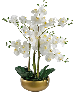 Artificiell Orchid Real Touch 50 cm vit har verklighetstrogna vita orkidéer med gula hjärtan och gröna knoppar, alla arrangerade med gröna blad i en snygg guldkruka.