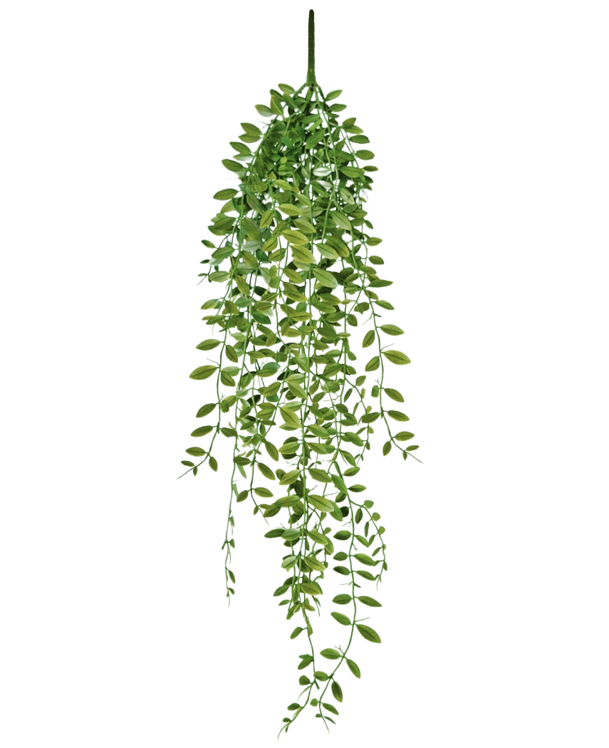 Den konstgjorda hängande växten Suckulentväxt 76 cm har gröna blad och tunna stjälkar mot en vanlig vit bakgrund.