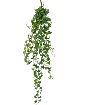 Den konstgjorda hängande växten Ivy deluxe 120 cm grön har långa, gröna rankor med hjärtformade löv, perfekt för att lägga till en touch av naturlig skönhet mot en vanlig vit bakgrund.