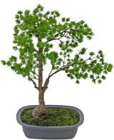 Den konstgjorda växten Bonsai Juniper 40 cm har en smal stam och frodiga gröna blad och står i en grund rektangulär grå kruka med mossa. Bakgrunden är vanlig vit.