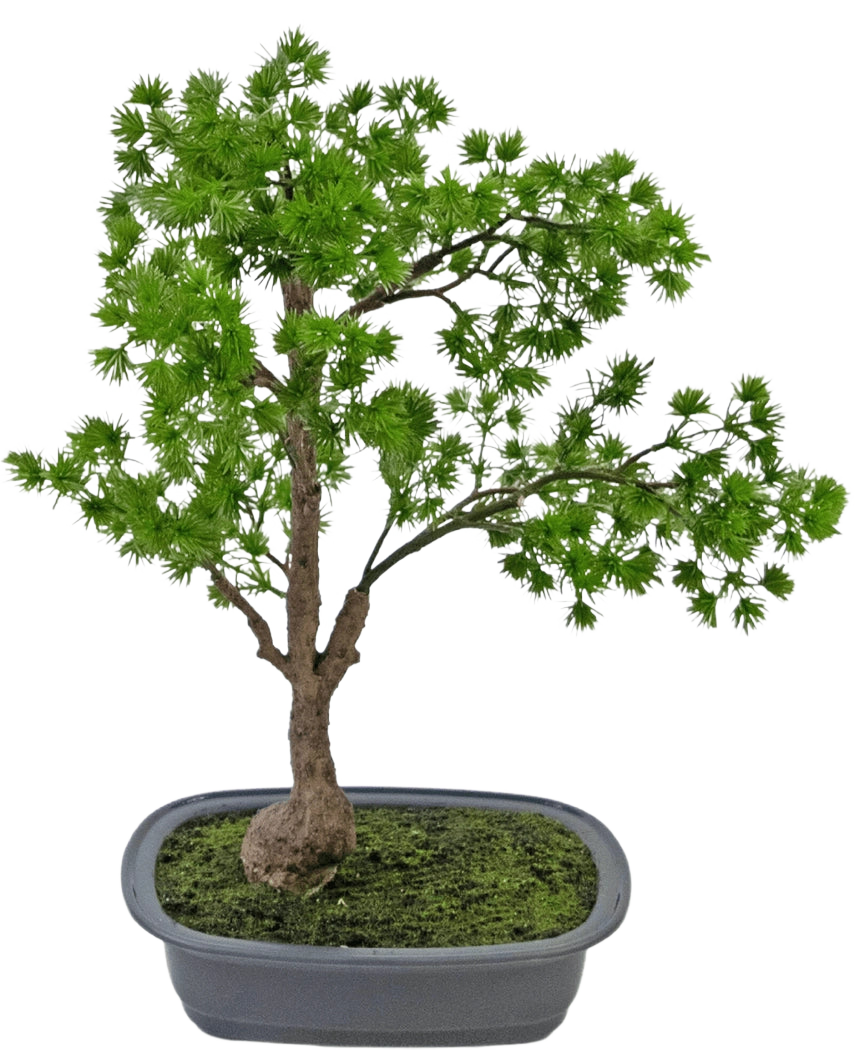 Den konstgjorda växten Bonsai Juniper 40 cm har en smal stam och frodiga gröna blad och står i en grund rektangulär grå kruka med mossa. Bakgrunden är vanlig vit.