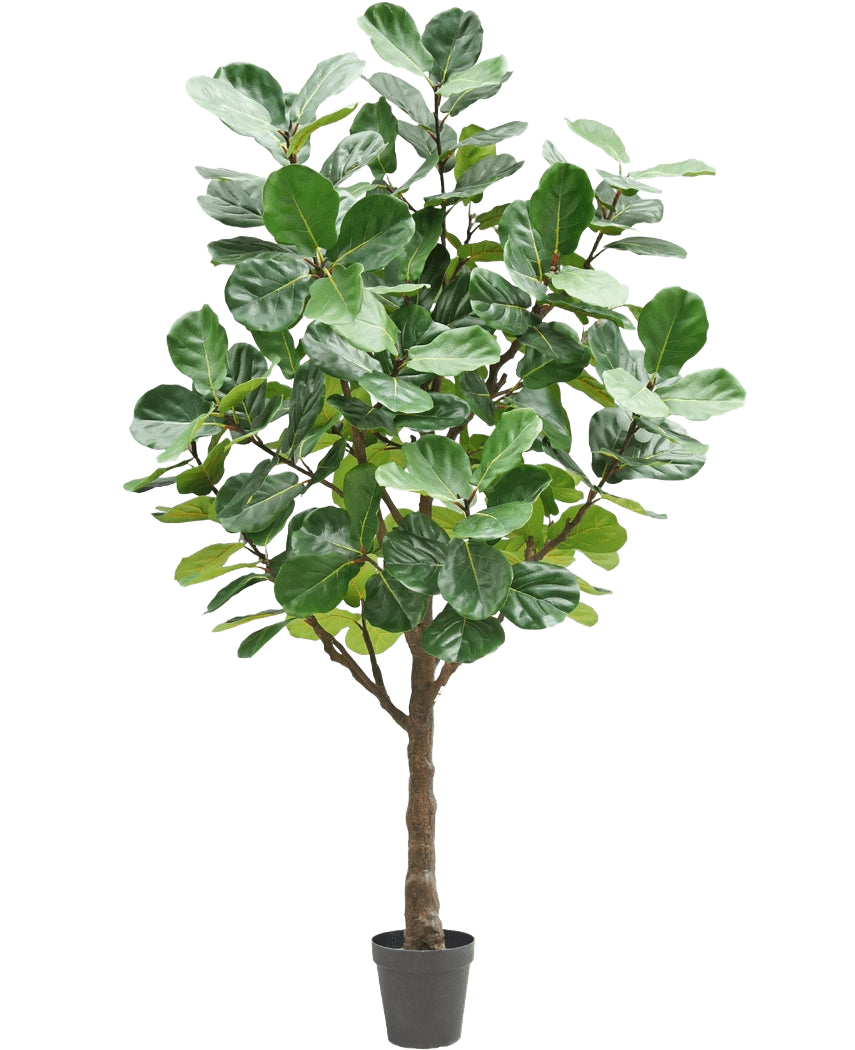 The Artificial Tree Tobacco Plant 270 cm är ett högt konstgjort träd med frodiga, stora gröna blad och en stadig brun stam, i en liten svart kruka mot en vanlig vit bakgrund.
