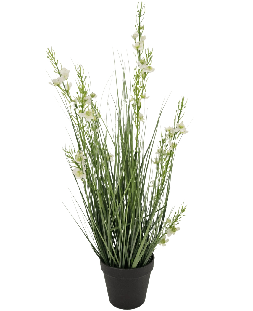 Konstgräs Hirs Lök gräskruka 65cm brandskyddsmedel har höga, smala gröna gräsliknande blad och flera stjälkar med små vita blommor i en svart kruka, mot en vanlig vit bakgrund.