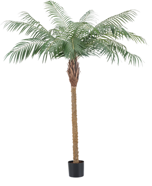 Konstgjord växt Phoenix Palm De Luxe 180 cm