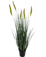 Artificiellt gräs Cattail Onion Grass Pot 90 cm Brandskyddsmedel är en konstgräsplanta i kruk med långa, smala gröna blad och flera höga, gulgröna fröhuvuden på en vanlig vit bakgrund.