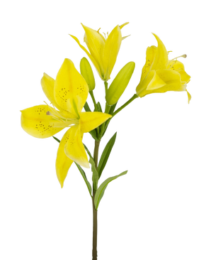 Den konstgjorda asiatiska liljan 66 cm gul har en stjälk med flera blommande gula liljor och oöppnade knoppar, spetsiga kronblad med mörka fläckar i mitten och gröna blad, allt mot en vit bakgrund.