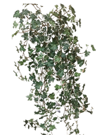 Artificiell murgröna Deluxe Rich Green-White 90 cm har frodiga gröna och vita flikiga blad på släpande stjälkar, som sticker ut vackert mot en vanlig vit bakgrund.